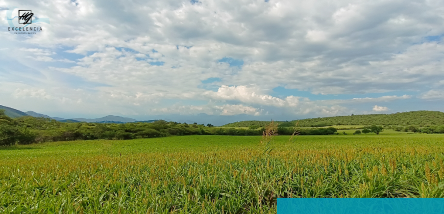 Terreno en venta, Carretera Cuernavaca-Cuautla, Cuautla Morelos.