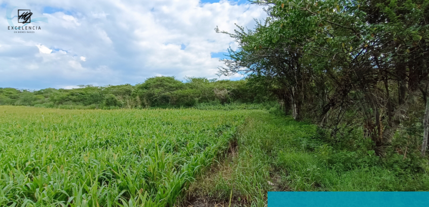 Terreno en venta, Carretera Cuernavaca-Cuautla, Cuautla Morelos.