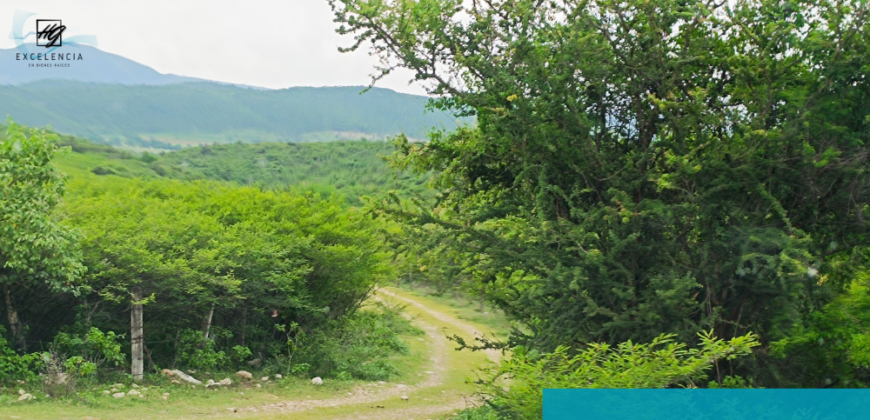 Terreno en venta, Carretera Cuernavaca-Cuautla, Cuautla Morelos.