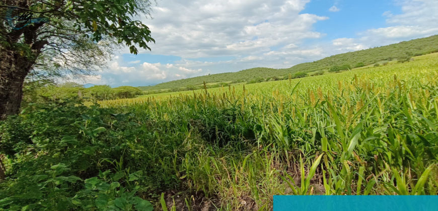 Terreno en venta, Carretera Cuernavaca-Cuautla, Cuautla Morelos.