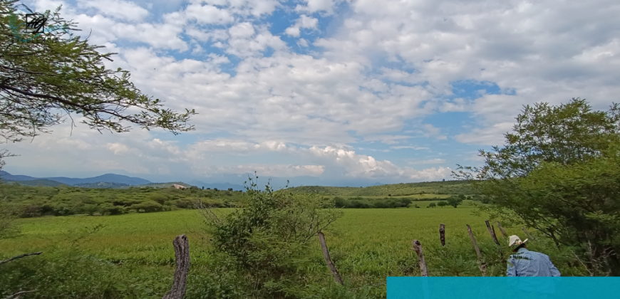 Terreno en venta, Carretera Cuernavaca-Cuautla, Cuautla Morelos.