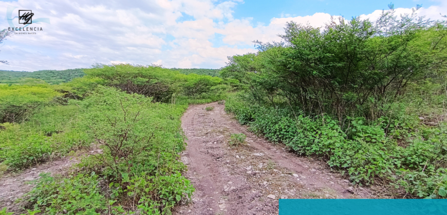 Terreno en venta, Carretera Cuernavaca-Cuautla, Cuautla Morelos.