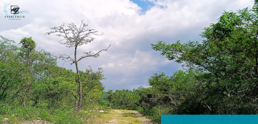 Terreno en venta, Carretera Cuernavaca-Cuautla, Cuautla Morelos.