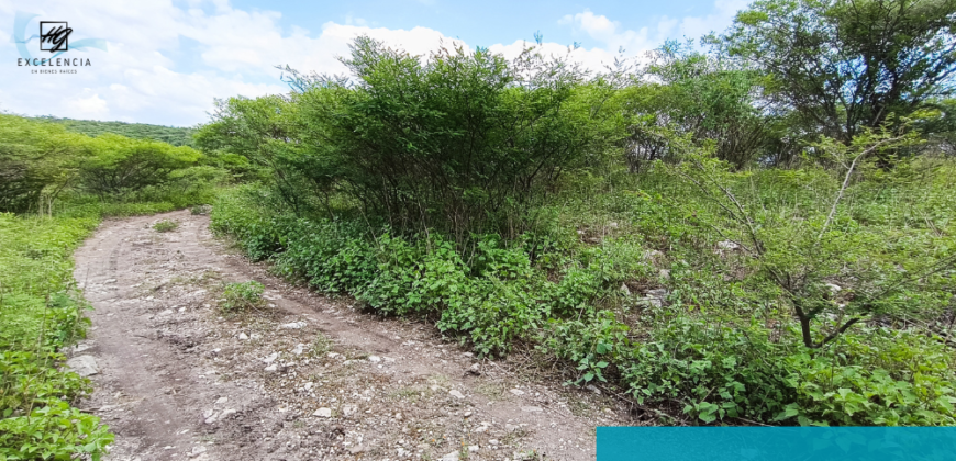 Terreno en venta, Carretera Cuernavaca-Cuautla, Cuautla Morelos.