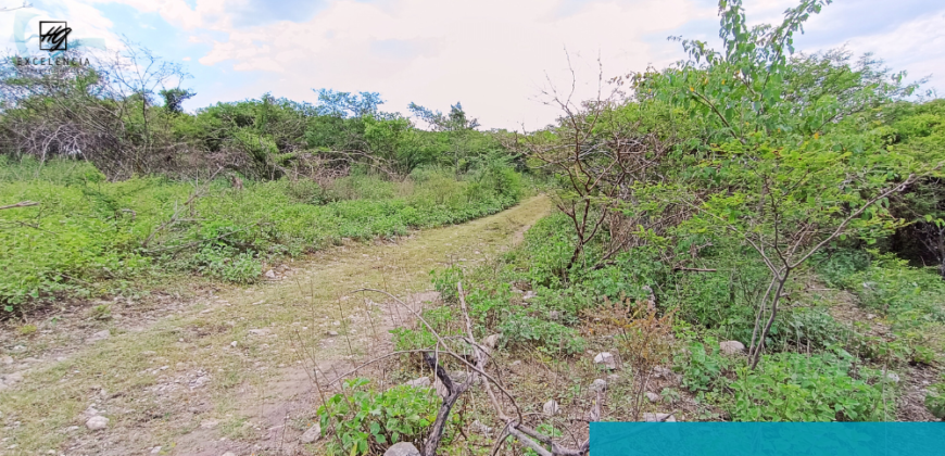 Terreno en venta, Carretera Cuernavaca-Cuautla, Cuautla Morelos.